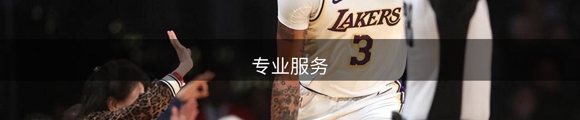 专业服务